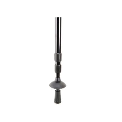 Trekking pole
